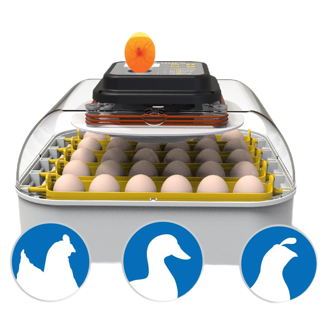 maticoopx incubator